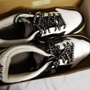 nike dunks